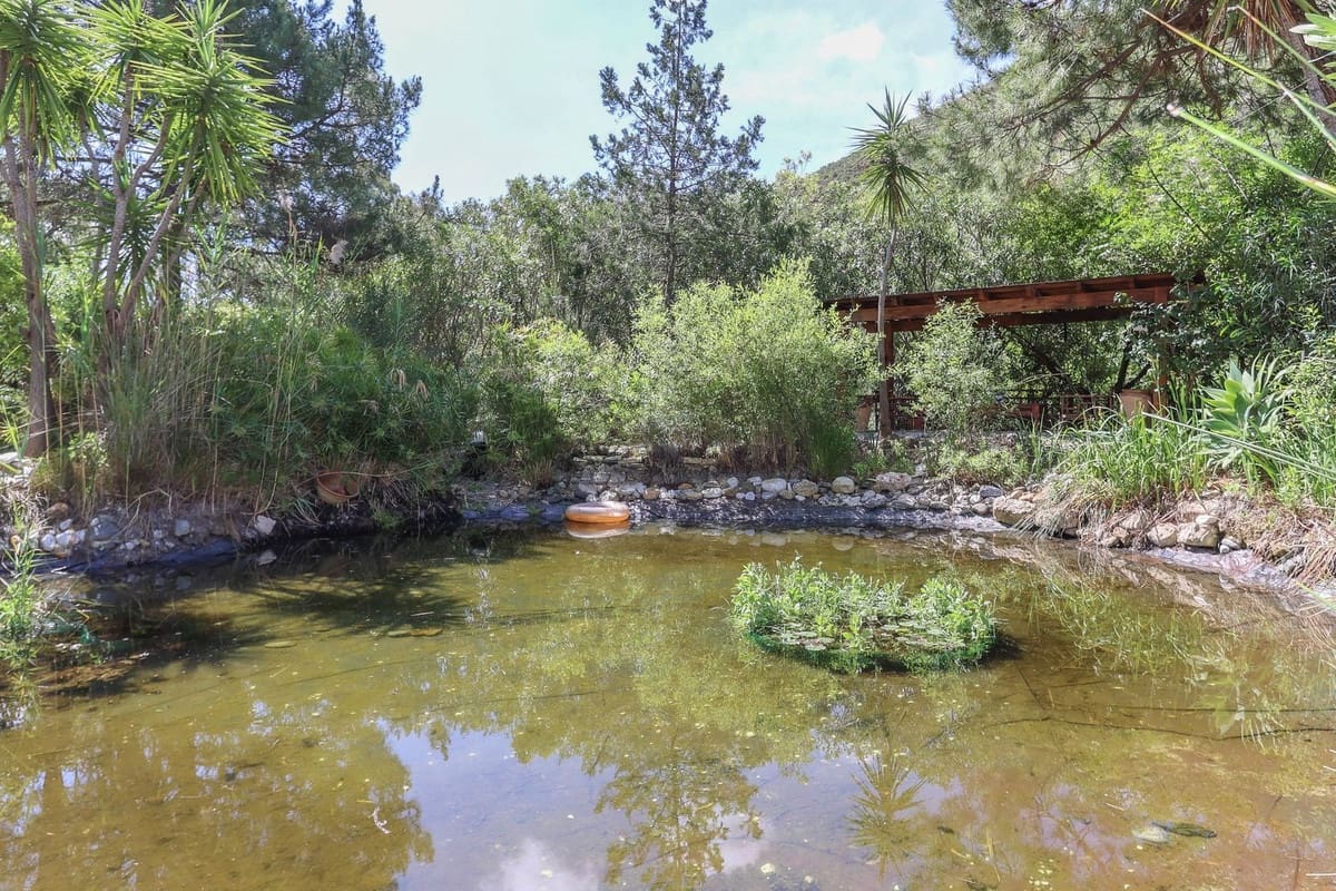 7 soveværelse Villa til salg i Coin med swimmingpool garage - € 699.000 (Ref: 8987816)