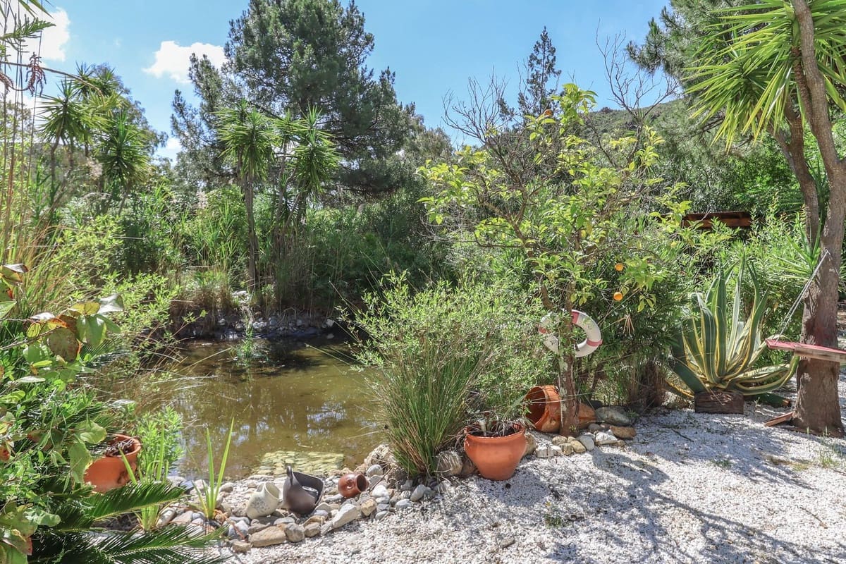 7 soveværelse Villa til salg i Coin med swimmingpool garage - € 699.000 (Ref: 8987816)