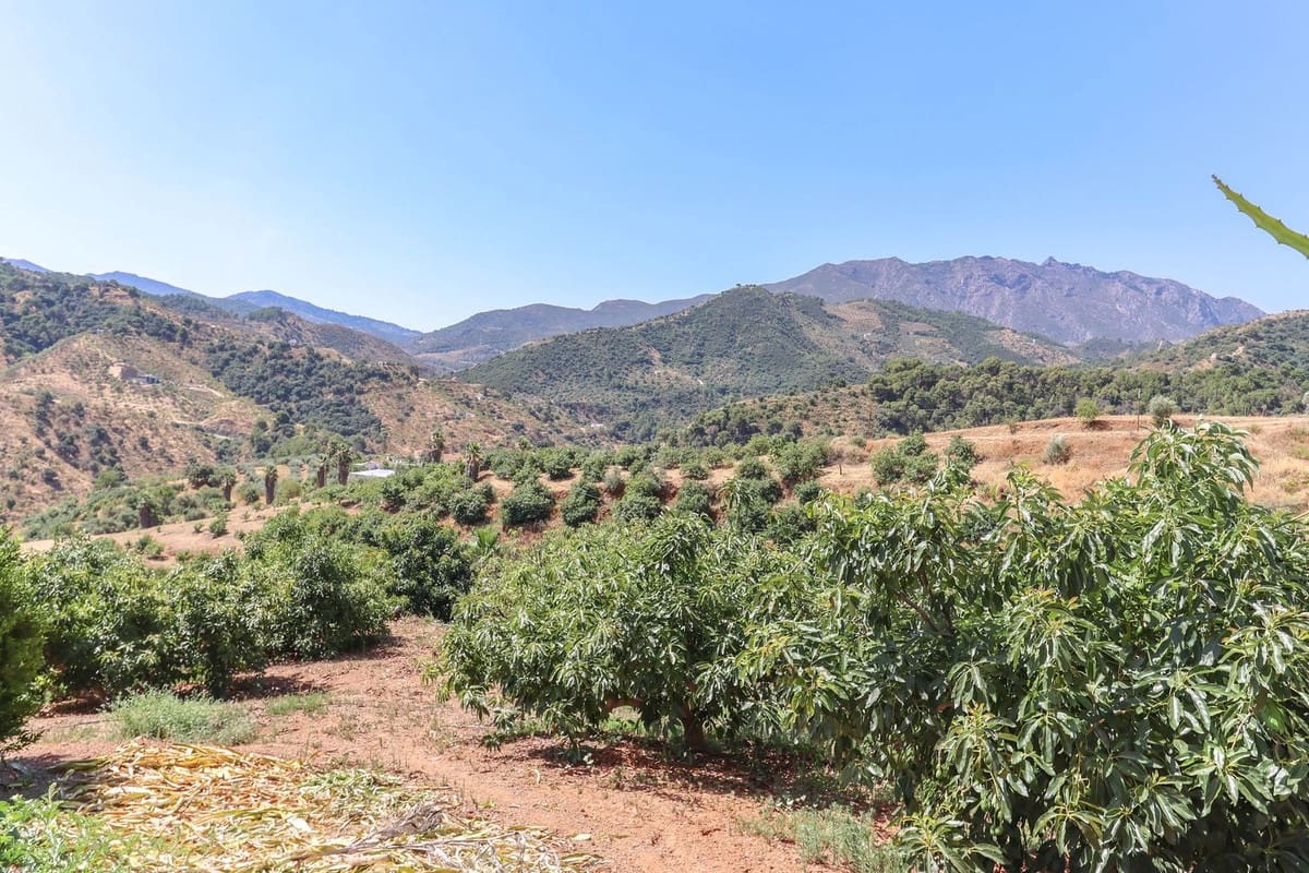 1 soveværelse Erhverv til salg i Monda med garage - € 545.000 (Ref: 9113383)