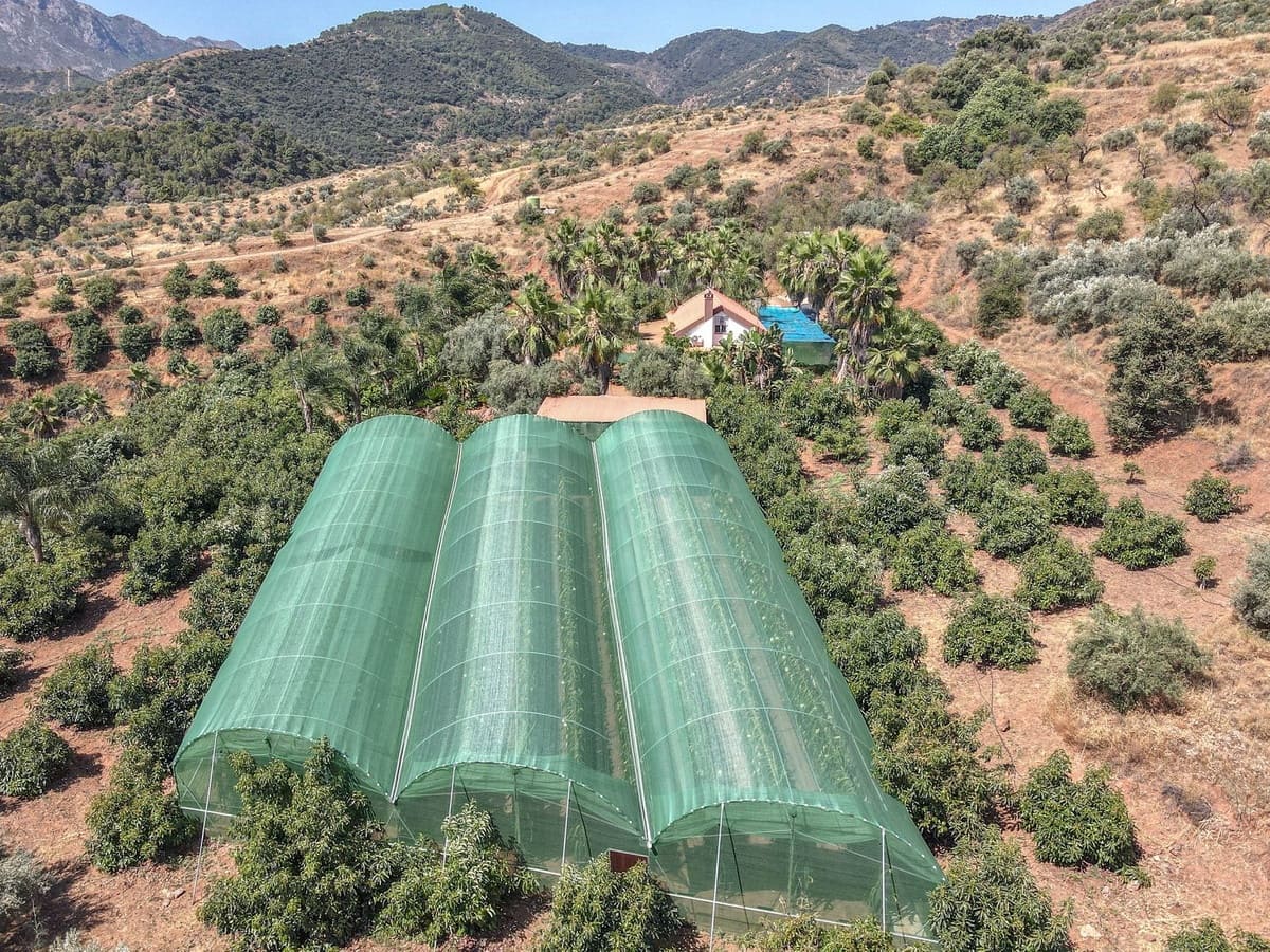 1 soveværelse Erhverv til salg i Monda med garage - € 545.000 (Ref: 9113383)