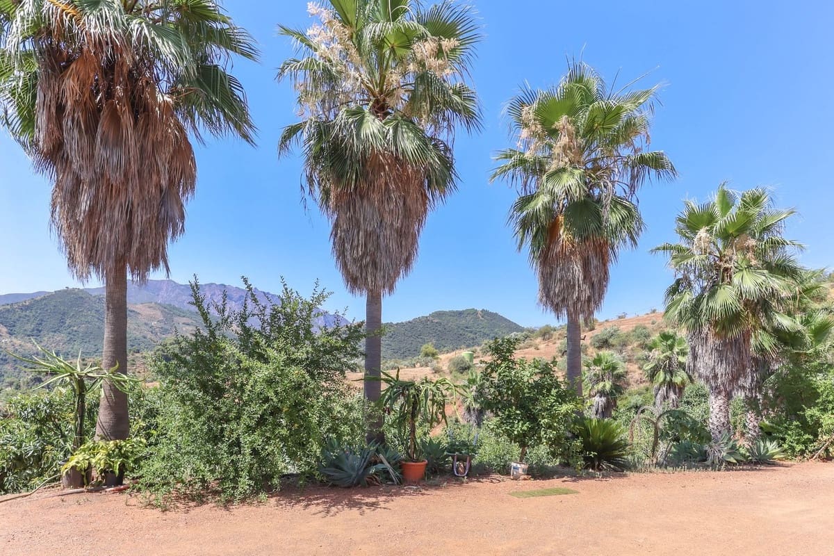 1 soverom Kommersiell til salgs i Monda med garasje - € 545 000 (Ref: 9113383)