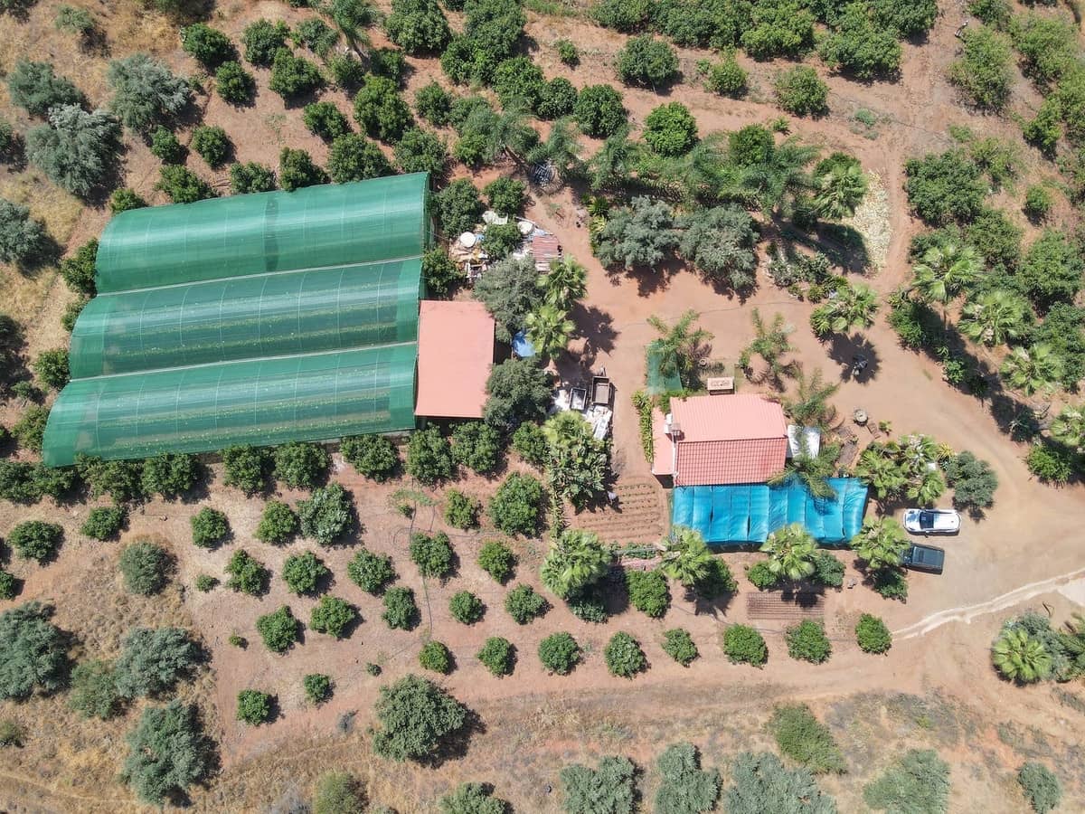 1 soverom Kommersiell til salgs i Monda med garasje - € 545 000 (Ref: 9113383)