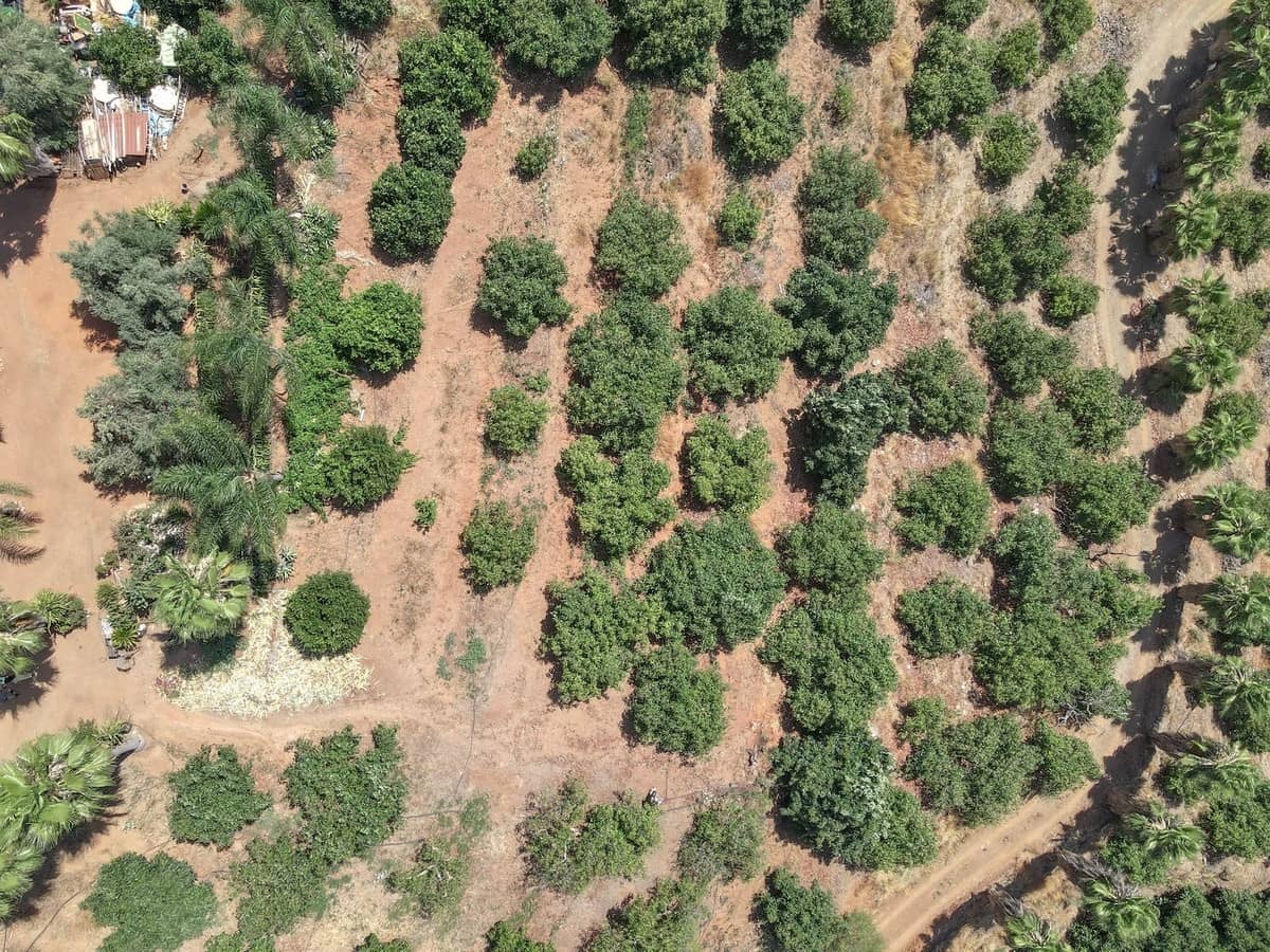 1 soverom Kommersiell til salgs i Monda med garasje - € 545 000 (Ref: 9113383)