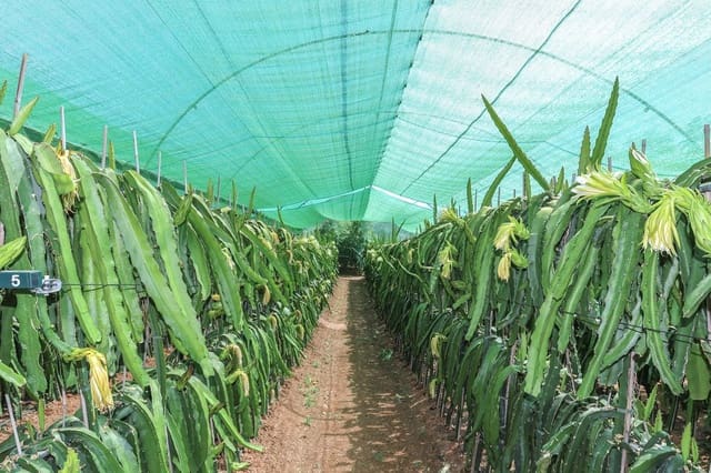 1 makuuhuone Kaupallinen myytävänä paikassa Monda mukana 
autotalli - 545 000 € (Ref: 9113383)