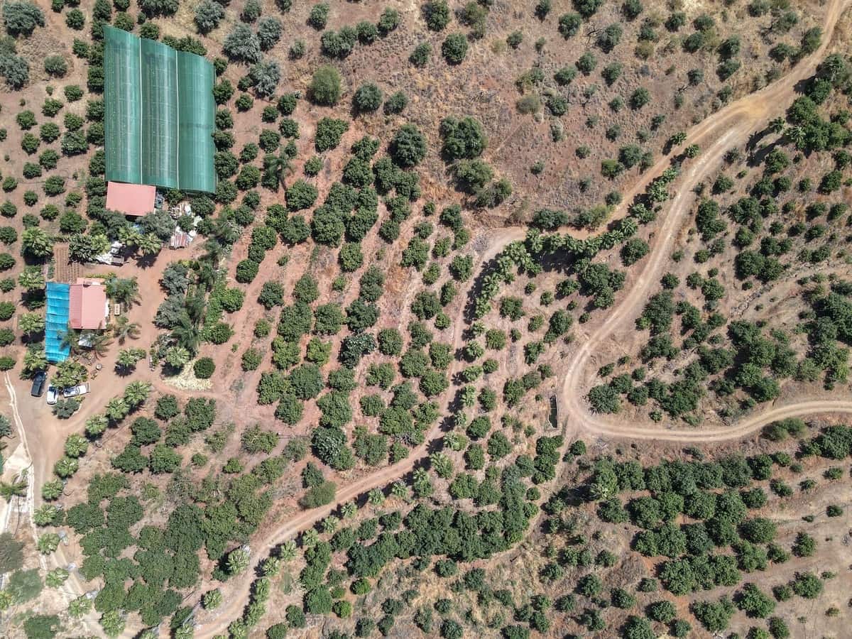 1 camera da letto Commerciale in vendita in Monda con garage - 545.000 € (Rif: 9113383)