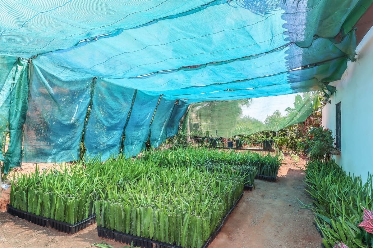 1 camera da letto Commerciale in vendita in Monda con garage - 545.000 € (Rif: 9113383)