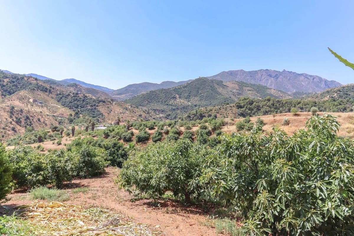 1 camera da letto Commerciale in vendita in Monda con garage - 545.000 € (Rif: 9113383)