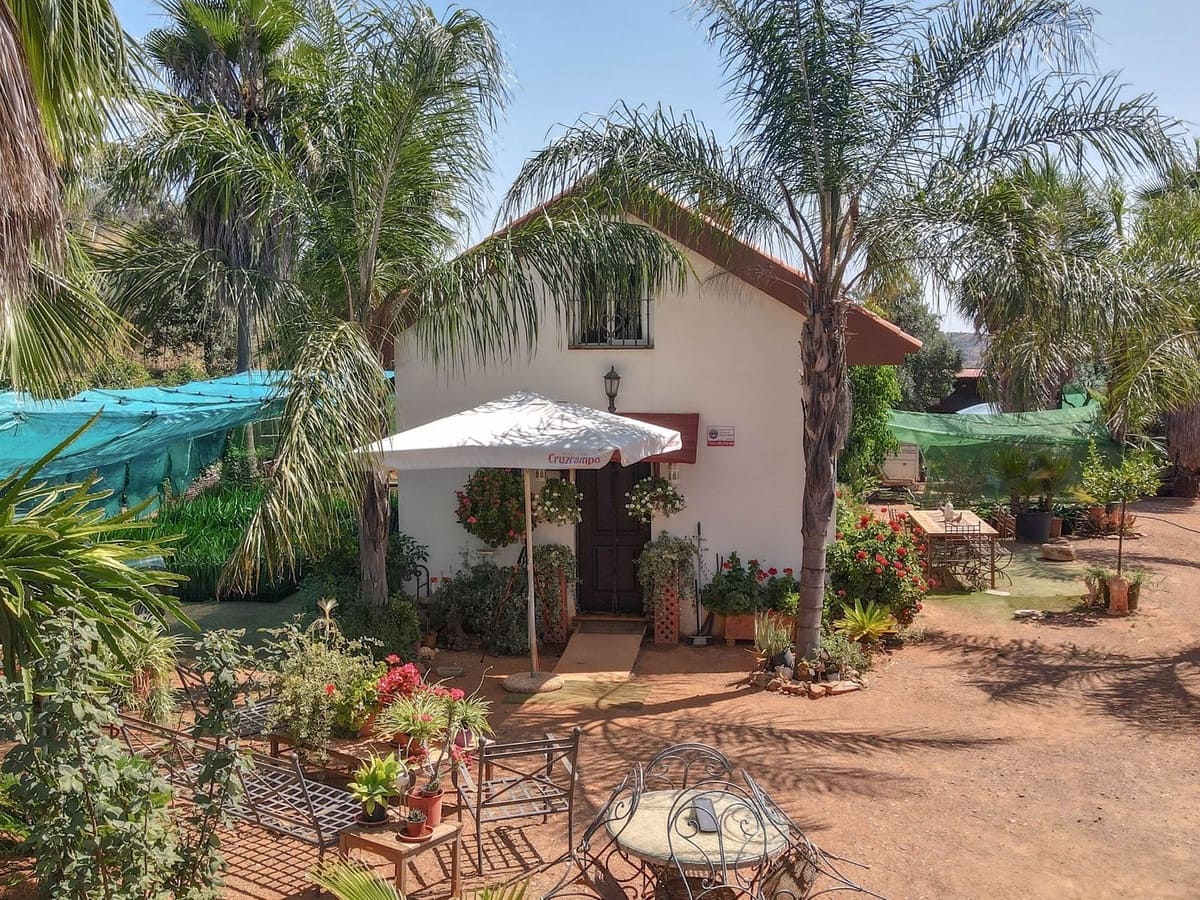 1 camera da letto Commerciale in vendita in Monda con garage - 545.000 € (Rif: 9113383)