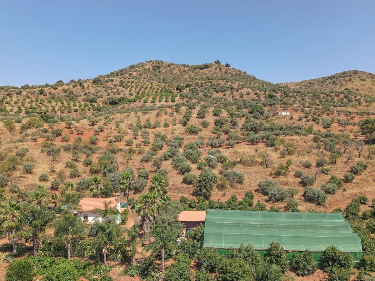 1 camera da letto Commerciale in vendita in Monda con garage - 545.000 € (Rif: 9113383)