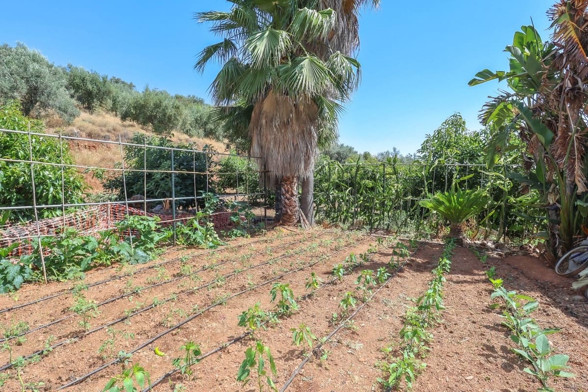 1 camera da letto Commerciale in vendita in Monda con garage - 545.000 € (Rif: 9113383)