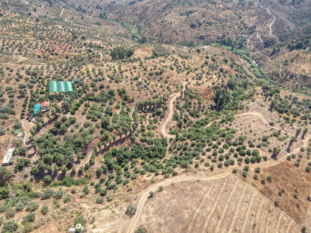 1 camera da letto Commerciale in vendita in Monda con garage - 545.000 € (Rif: 9113383)