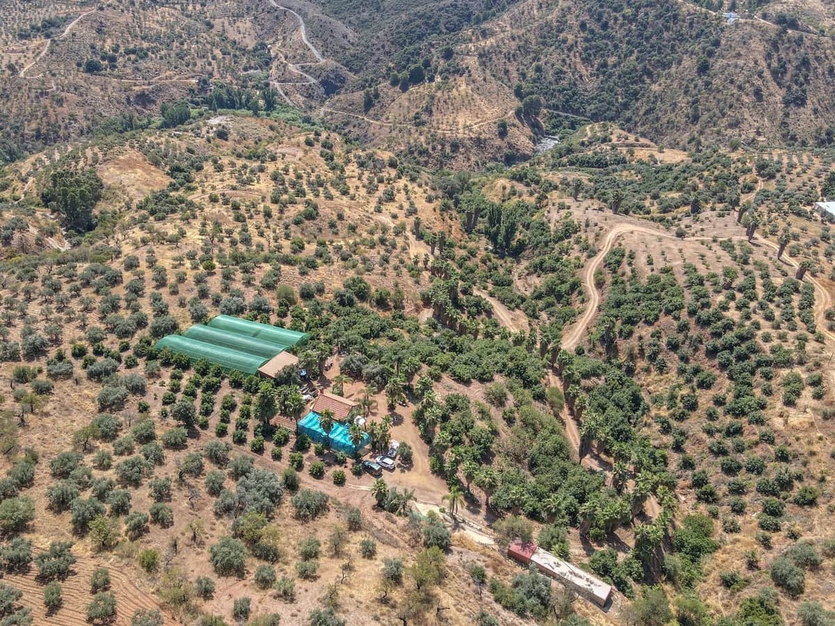 1 camera da letto Commerciale in vendita in Monda con garage - 545.000 € (Rif: 9113383)