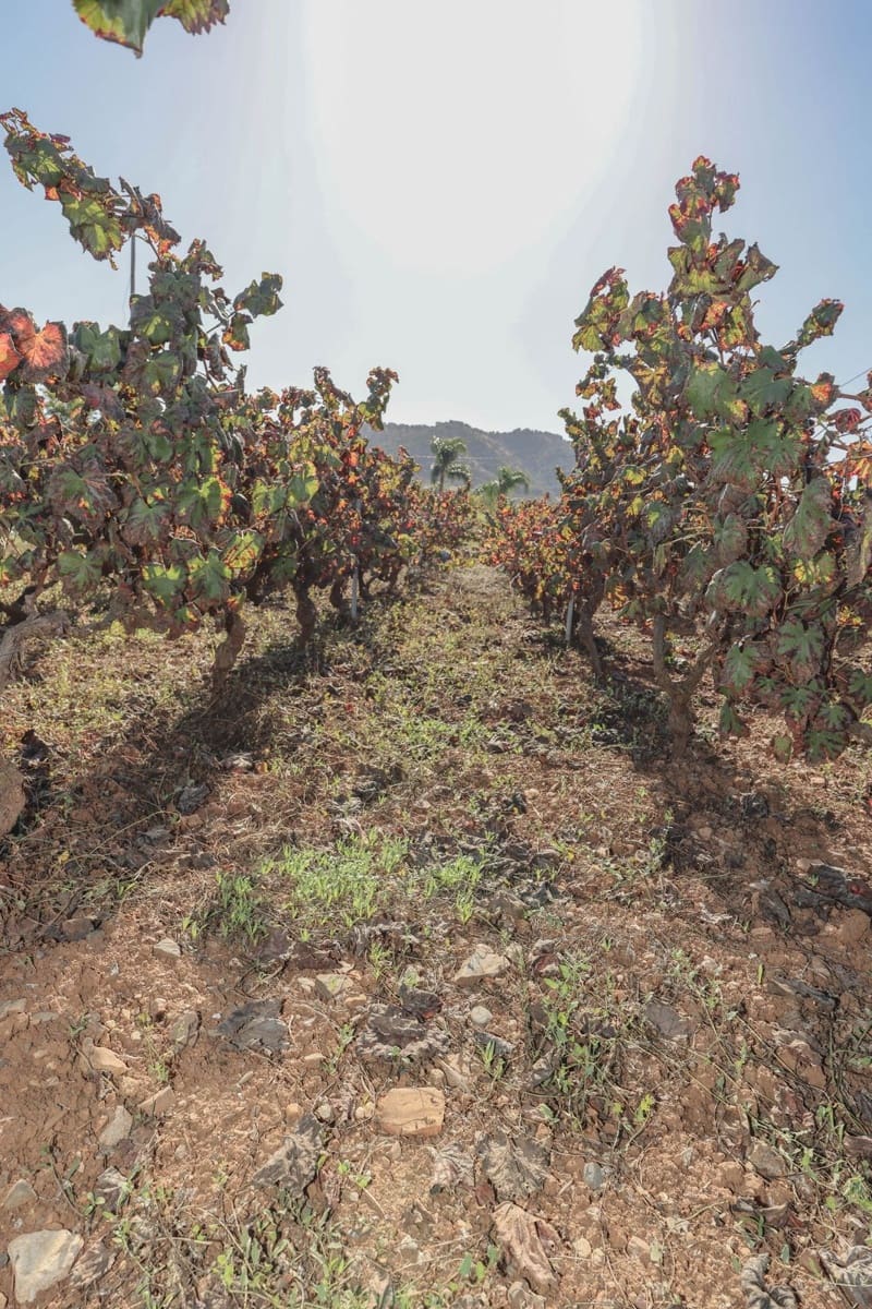 5 bedroom Villa for sale in Coin with pool garage - € 678,000 (Ref: 9401792)