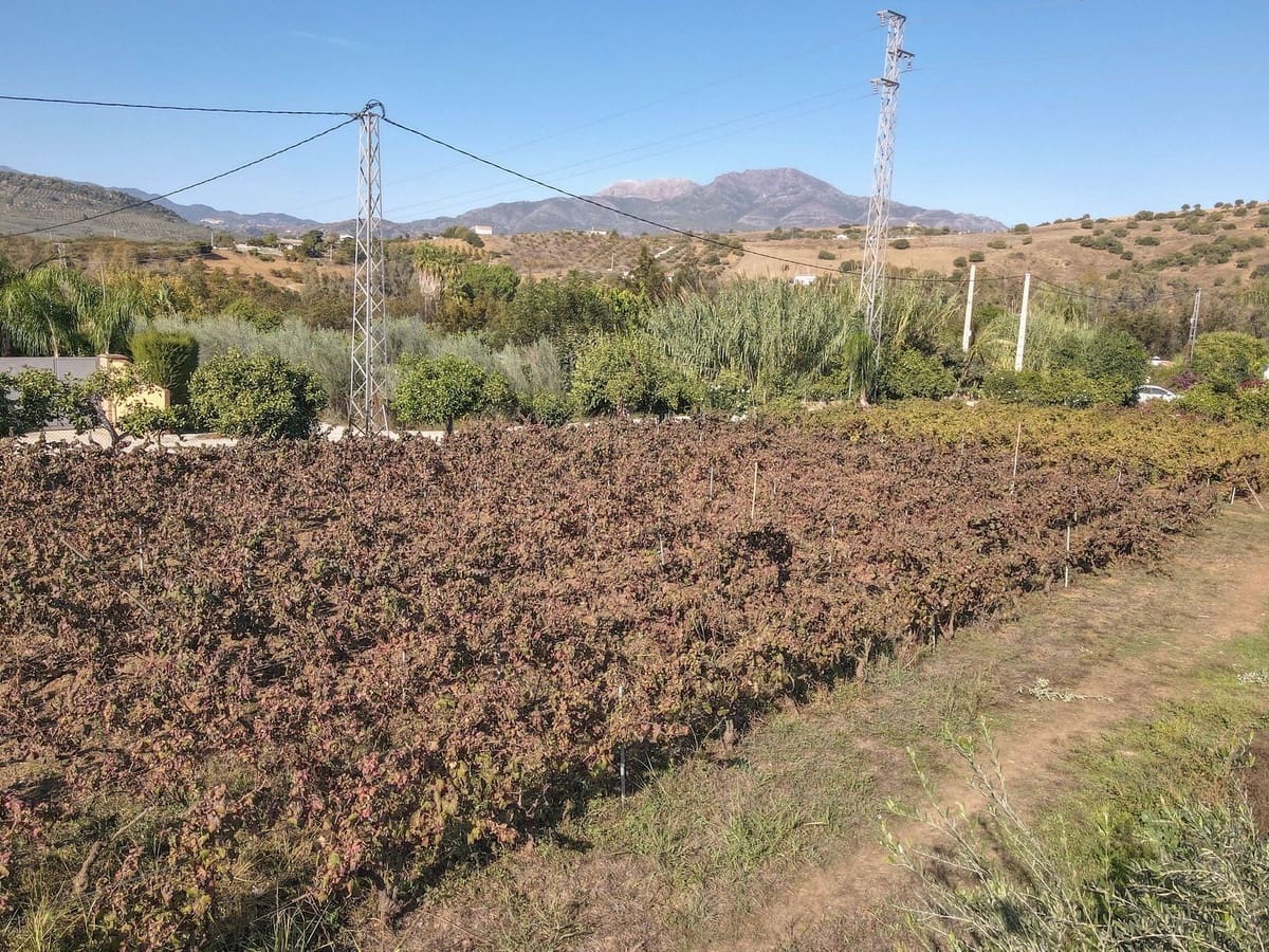 5 bedroom Villa for sale in Coin with pool garage - € 678,000 (Ref: 9401792)