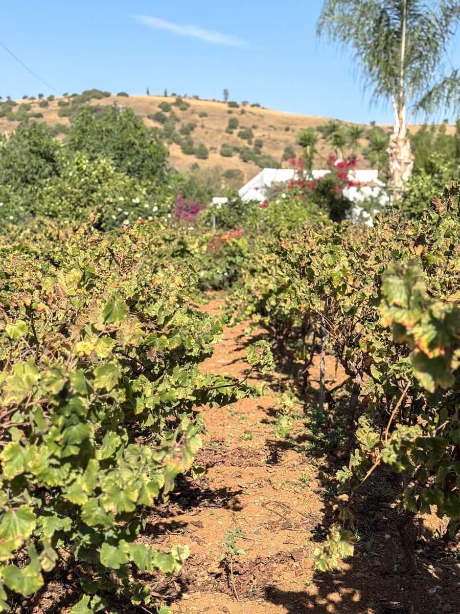 5 Zimmer Villa zu verkaufen in Coin mit Pool Garage - 695.000 € (Ref: 9404724)