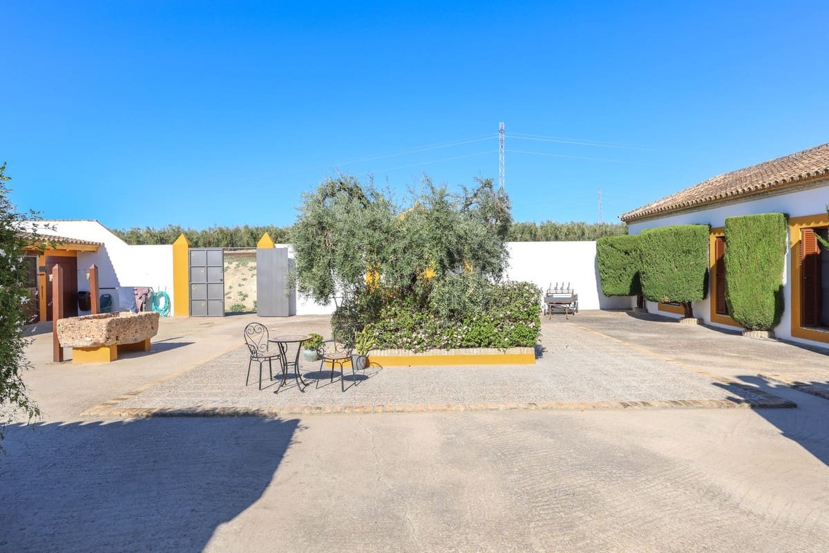 5 soverom Kommersiell til salgs i Moron de la Frontera med svømmebasseng - € 795 000 (Ref: 9410322)