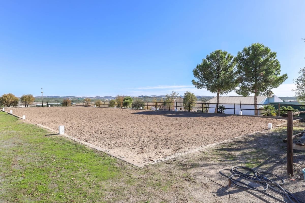 5 soverom Kommersiell til salgs i Moron de la Frontera med svømmebasseng - € 795 000 (Ref: 9410322)