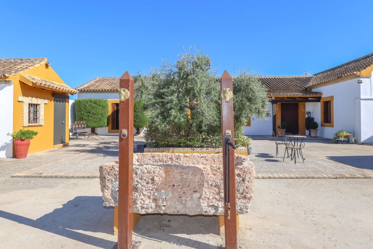 5 soverom Kommersiell til salgs i Moron de la Frontera med svømmebasseng - € 795 000 (Ref: 9410322)