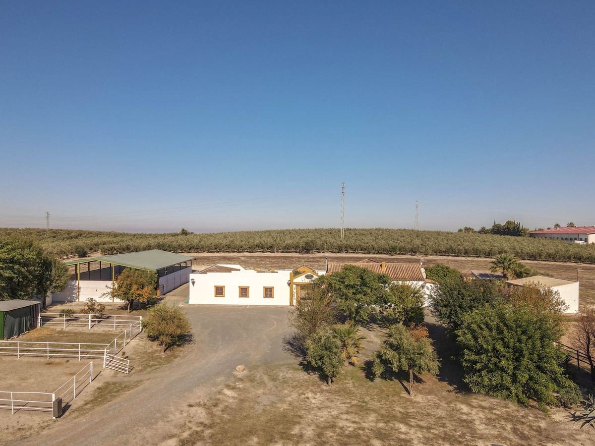 5 soverom Kommersiell til salgs i Moron de la Frontera med svømmebasseng - € 795 000 (Ref: 9410322)