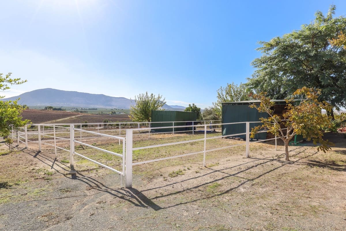 5 soverom Kommersiell til salgs i Moron de la Frontera med svømmebasseng - € 795 000 (Ref: 9410322)