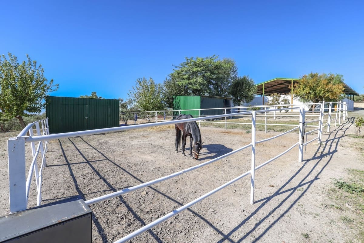 5 soverom Kommersiell til salgs i Moron de la Frontera med svømmebasseng - € 795 000 (Ref: 9410322)