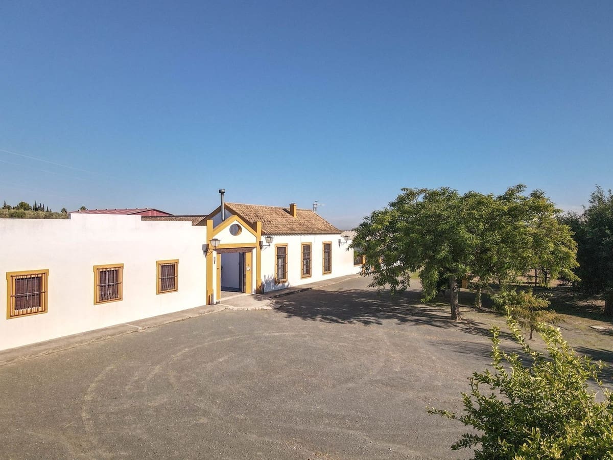 5 soverom Kommersiell til salgs i Moron de la Frontera med svømmebasseng - € 795 000 (Ref: 9410322)