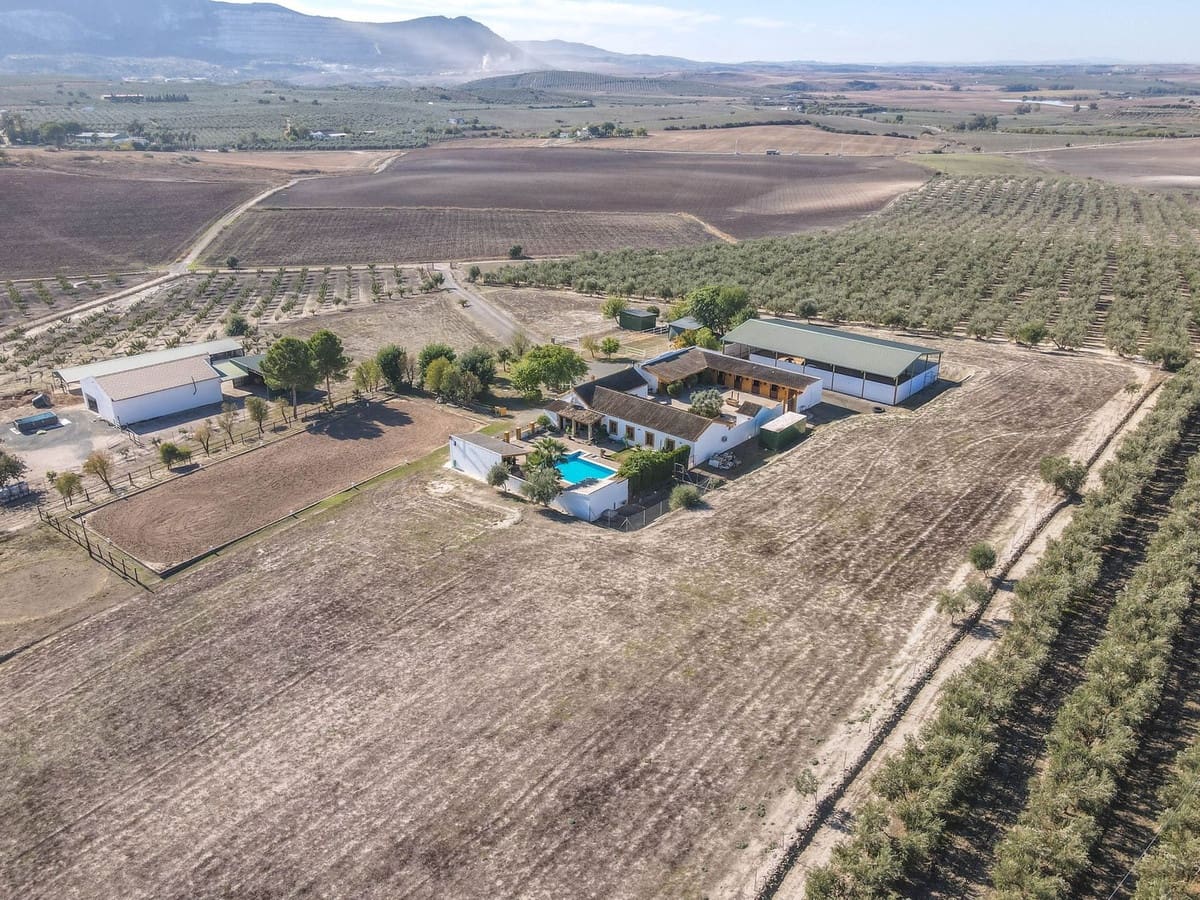 5 soverom Kommersiell til salgs i Moron de la Frontera med svømmebasseng - € 795 000 (Ref: 9410322)