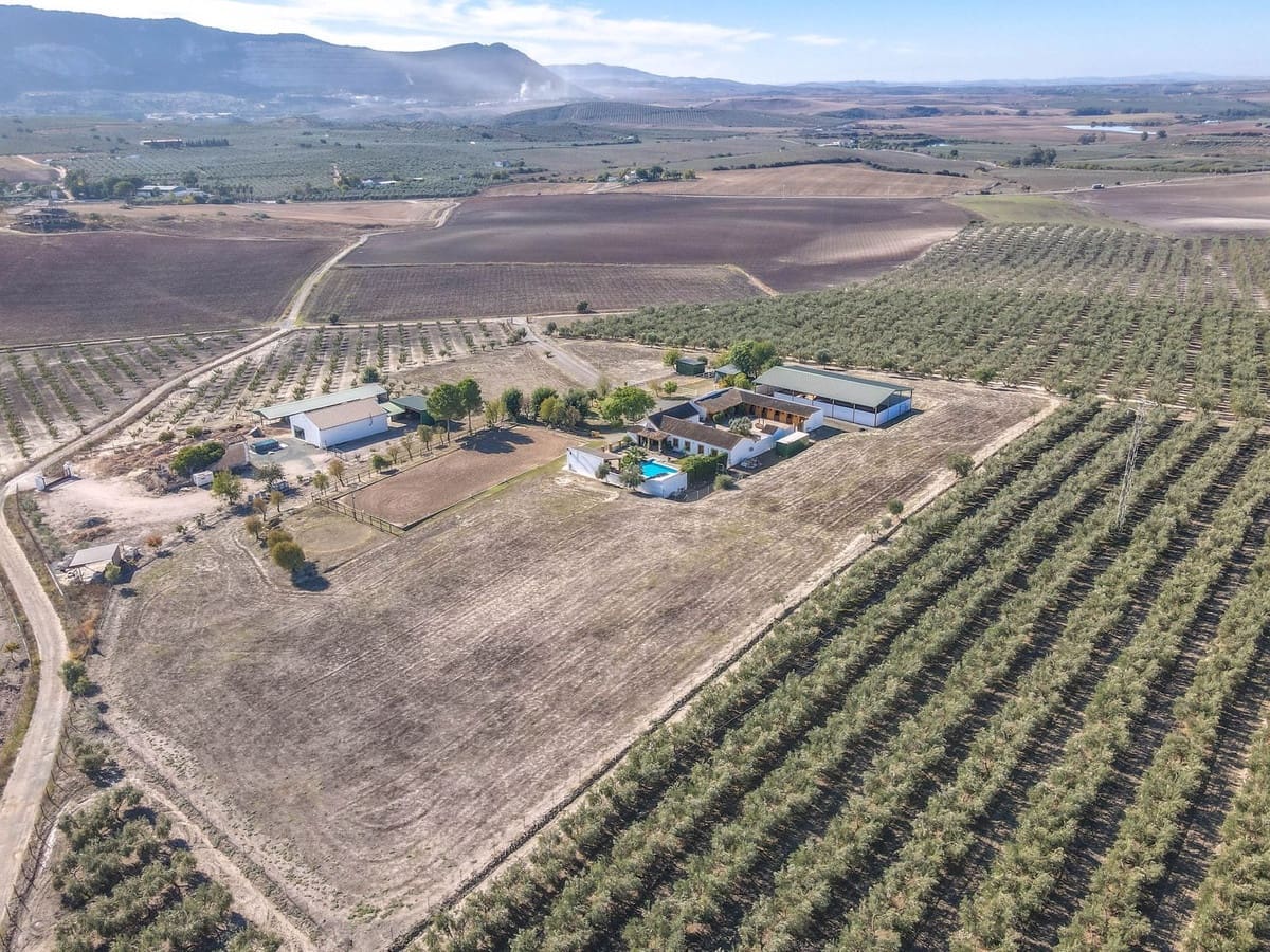 5 soverom Kommersiell til salgs i Moron de la Frontera med svømmebasseng - € 795 000 (Ref: 9410322)