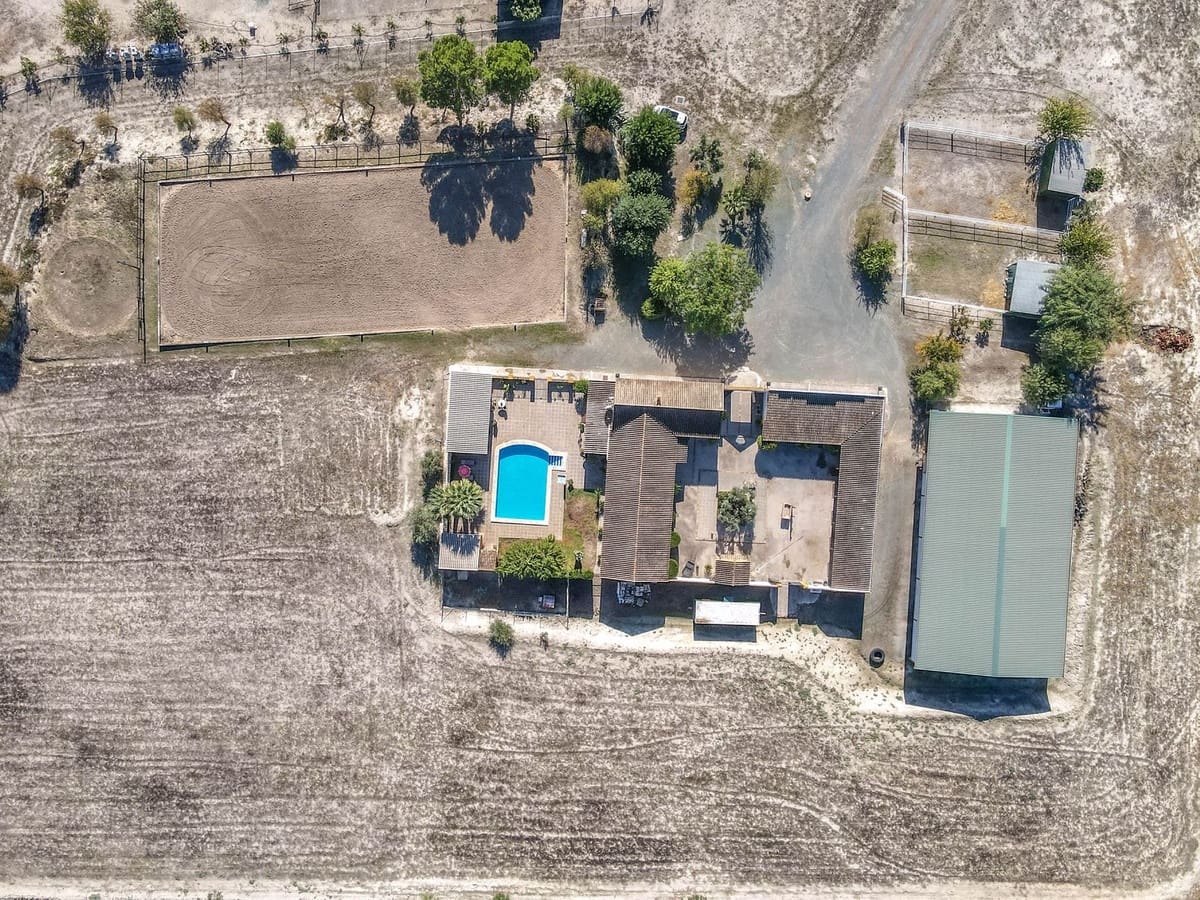 5 soverom Kommersiell til salgs i Moron de la Frontera med svømmebasseng - € 795 000 (Ref: 9410322)