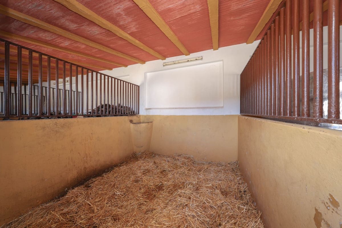 5 bedroom Commercial for sale in Moron de la Frontera with pool - € 699,000 (Ref: 9410322)