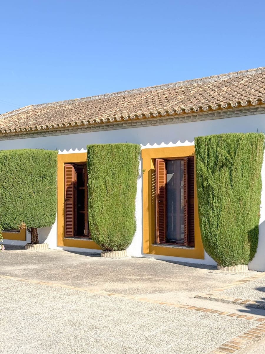 5 bedroom Commercial for sale in Moron de la Frontera with pool - € 699,000 (Ref: 9410322)