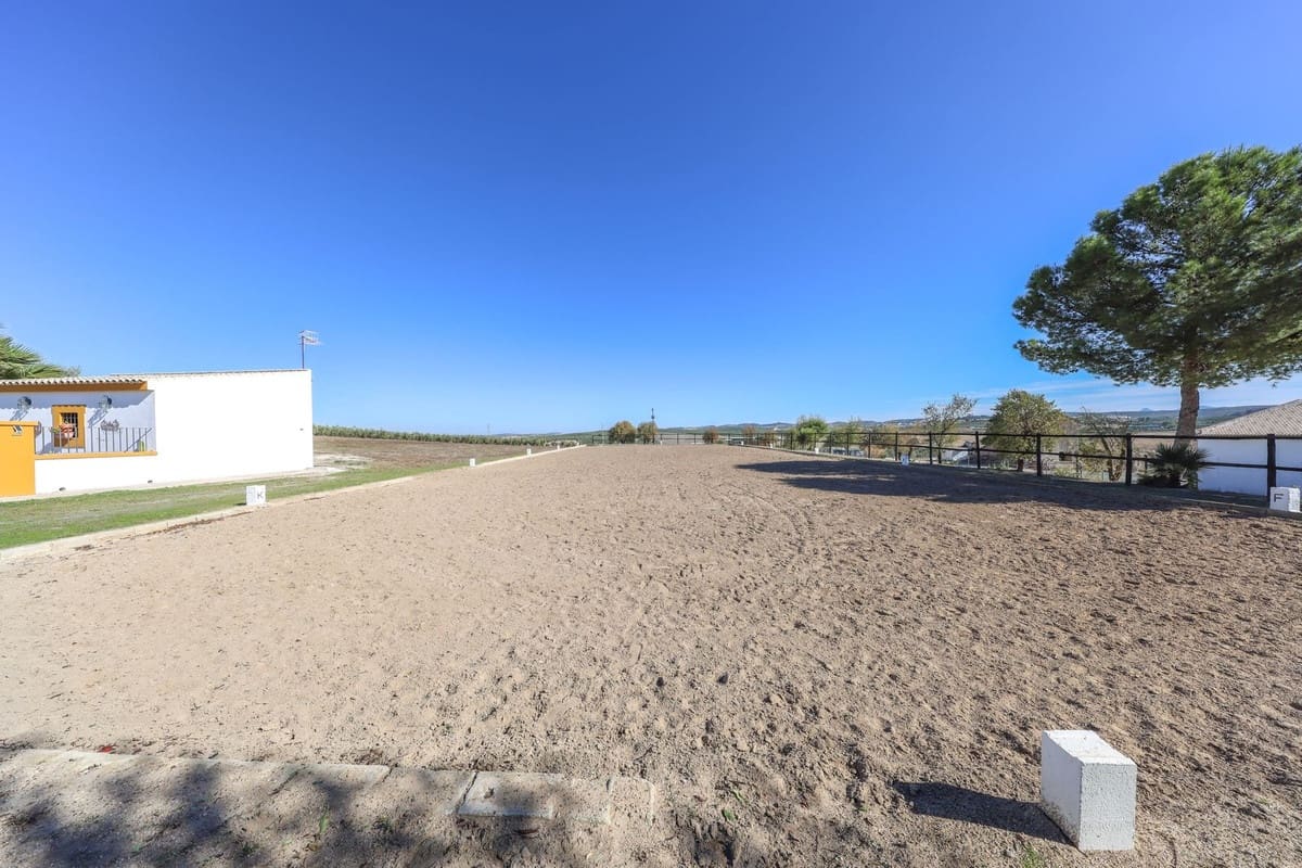 5 bedroom Commercial for sale in Moron de la Frontera with pool - € 699,000 (Ref: 9410322)