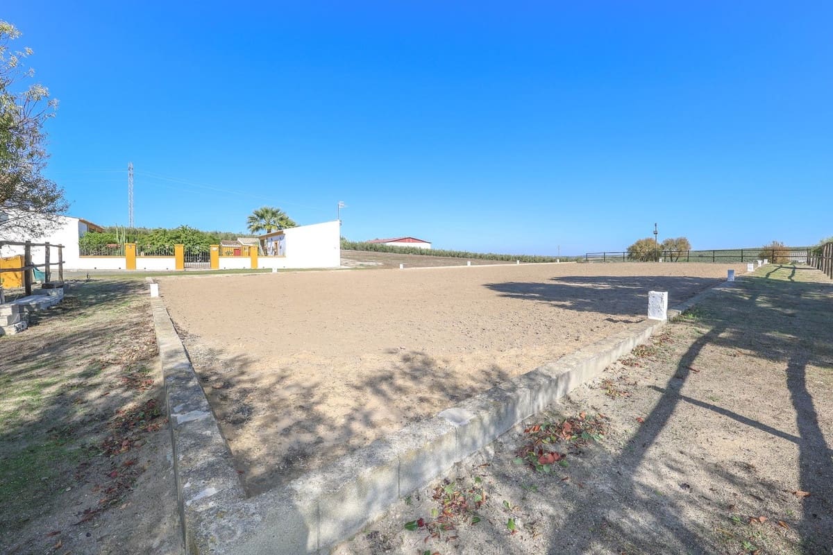 5 bedroom Commercial for sale in Moron de la Frontera with pool - € 699,000 (Ref: 9410322)