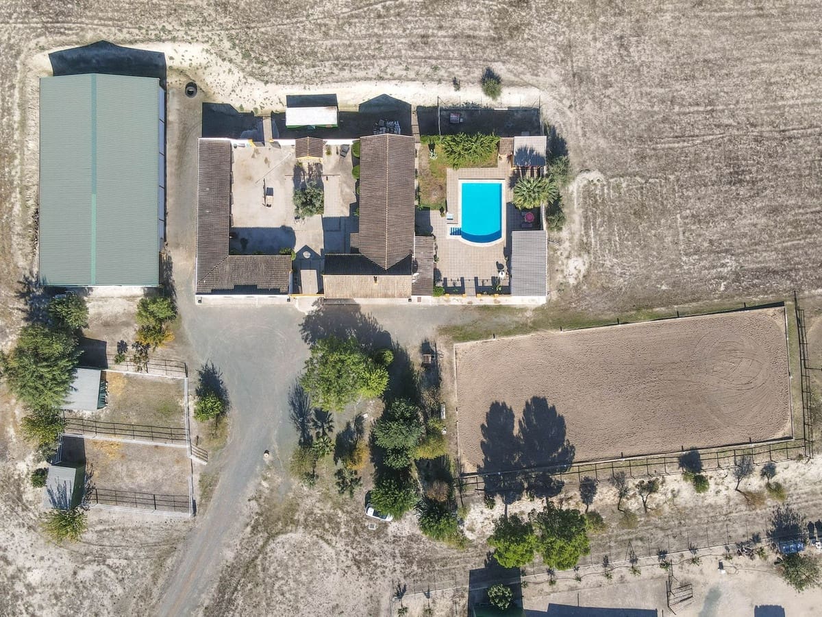 5 bedroom Commercial for sale in Moron de la Frontera with pool - € 699,000 (Ref: 9410322)