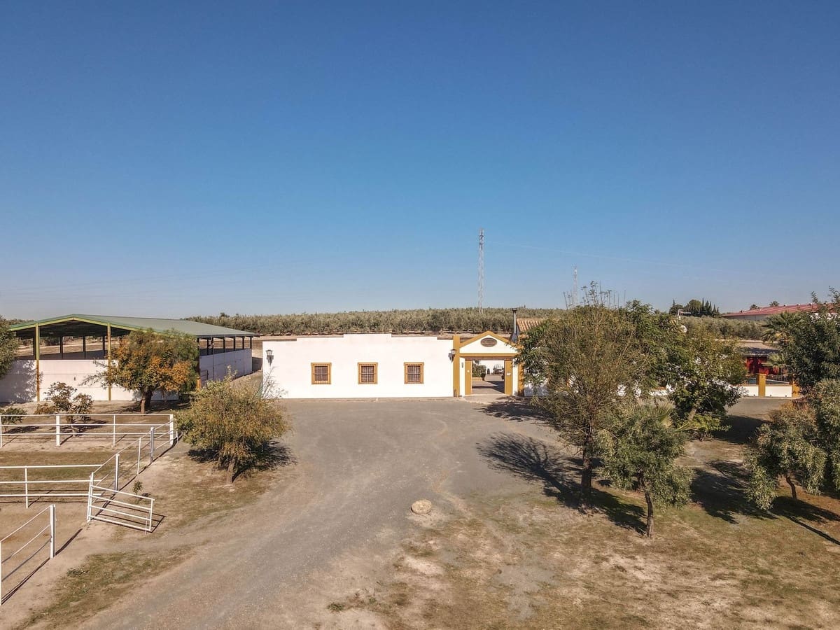 5 bedroom Commercial for sale in Moron de la Frontera with pool - € 699,000 (Ref: 9410322)