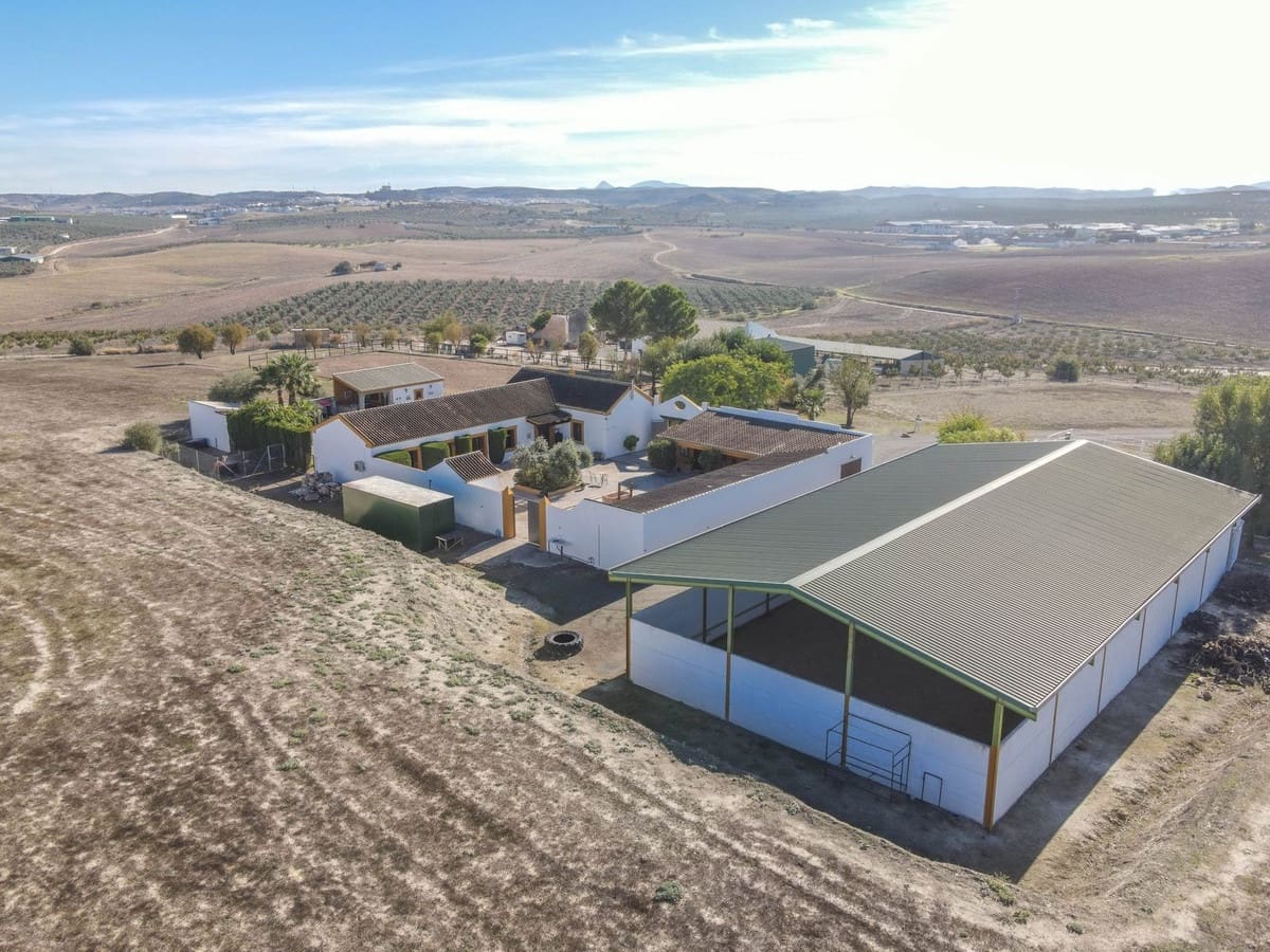 5 bedroom Commercial for sale in Moron de la Frontera with pool - € 699,000 (Ref: 9410322)