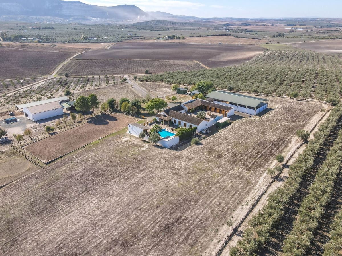 5 bedroom Commercial for sale in Moron de la Frontera with pool - € 699,000 (Ref: 9410322)