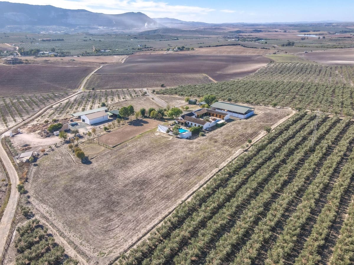 5 bedroom Commercial for sale in Moron de la Frontera with pool - € 699,000 (Ref: 9410322)