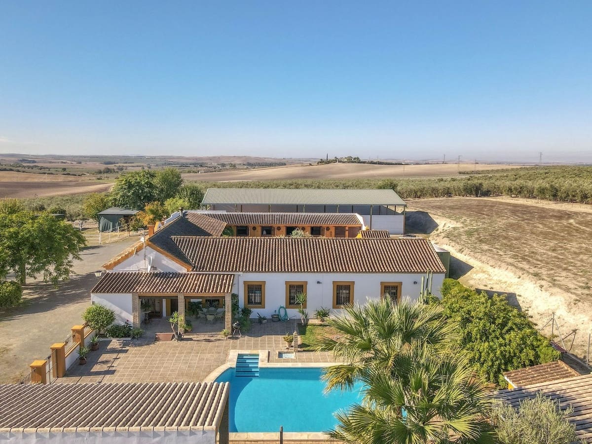 5 bedroom Commercial for sale in Moron de la Frontera with pool - € 699,000 (Ref: 9410322)