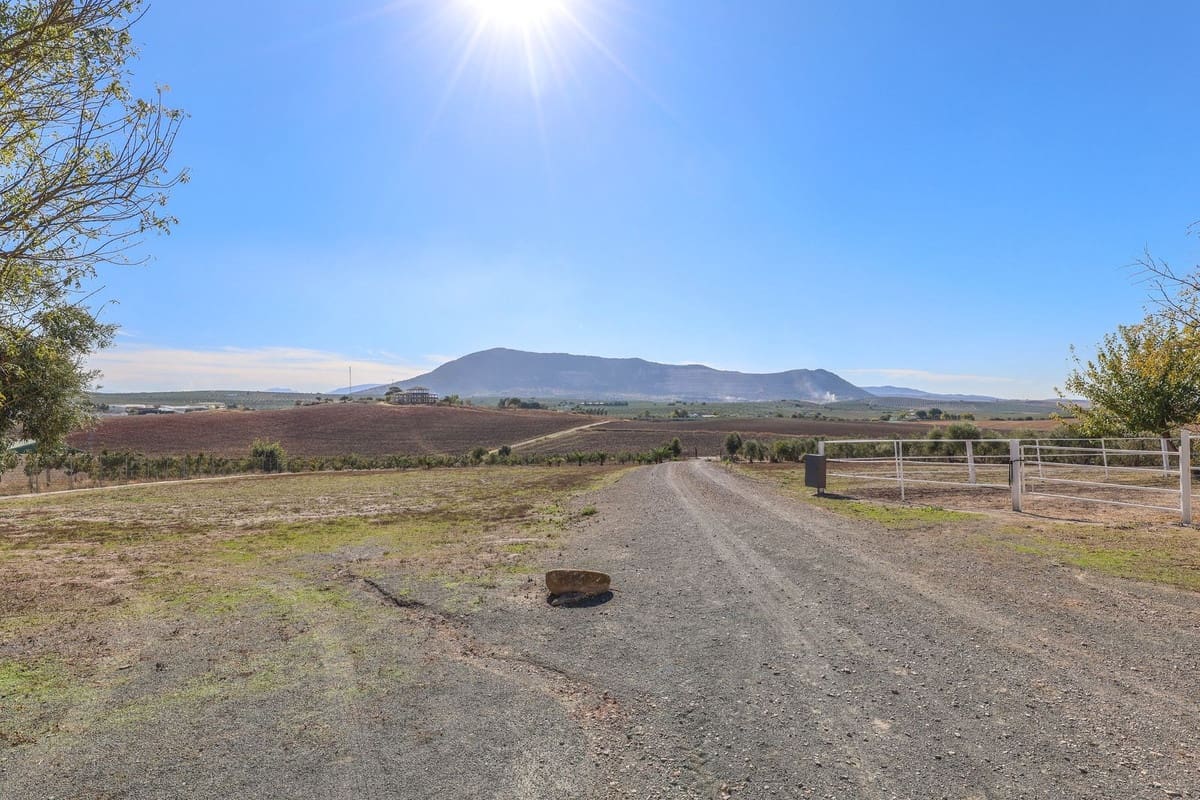 5 bedroom Commercial for sale in Moron de la Frontera with pool - € 699,000 (Ref: 9410322)