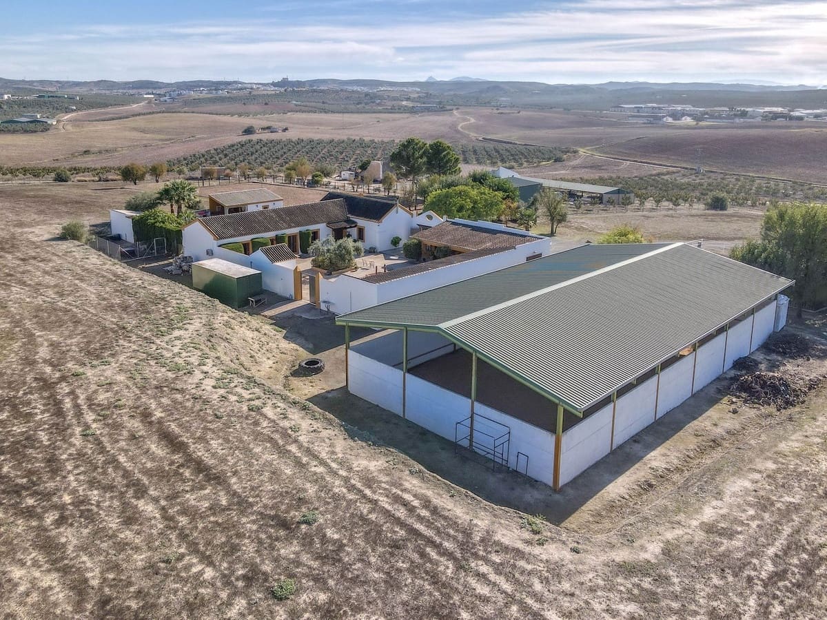 5 bedroom Commercial for sale in Moron de la Frontera with pool - € 699,000 (Ref: 9410322)