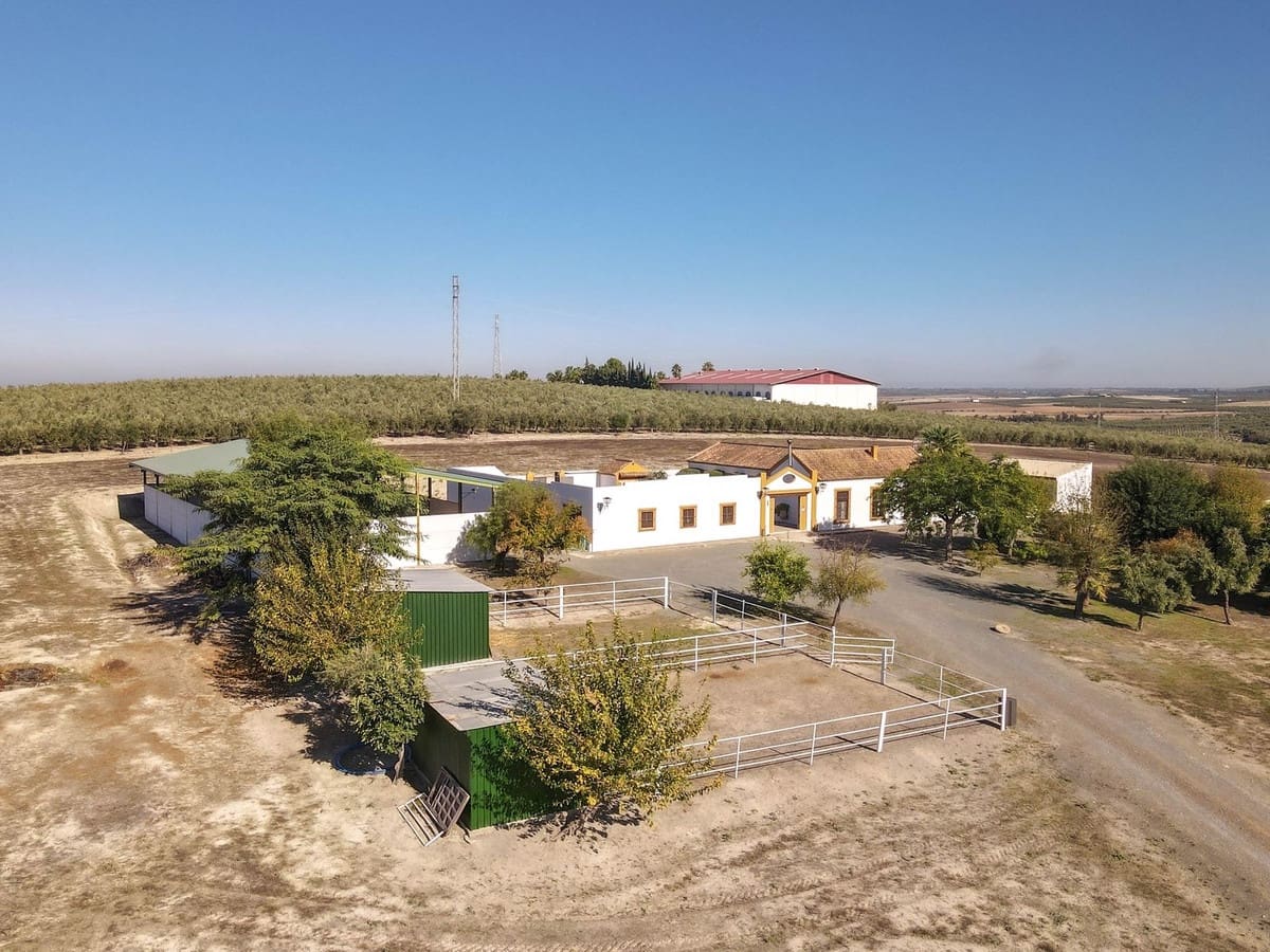 5 bedroom Commercial for sale in Moron de la Frontera with pool - € 699,000 (Ref: 9410322)