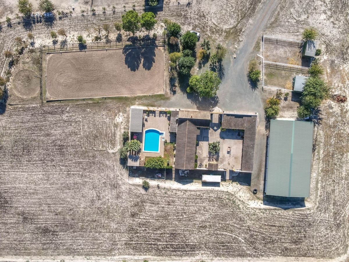 5 bedroom Commercial for sale in Moron de la Frontera with pool - € 699,000 (Ref: 9410322)