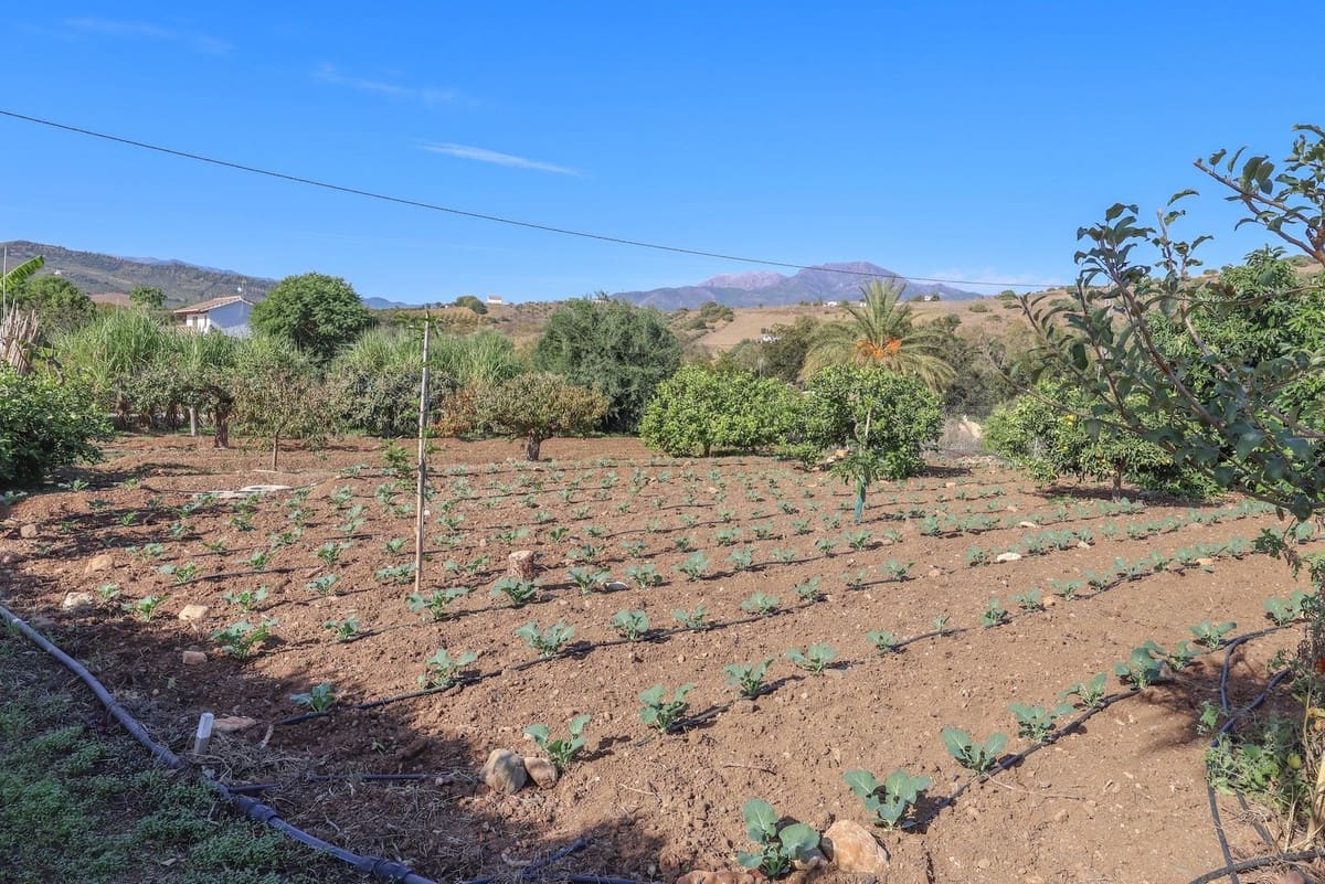 Chalet de 5 habitaciones en Coín en venta con piscina garaje - 695.000 € (Ref: 9587988)