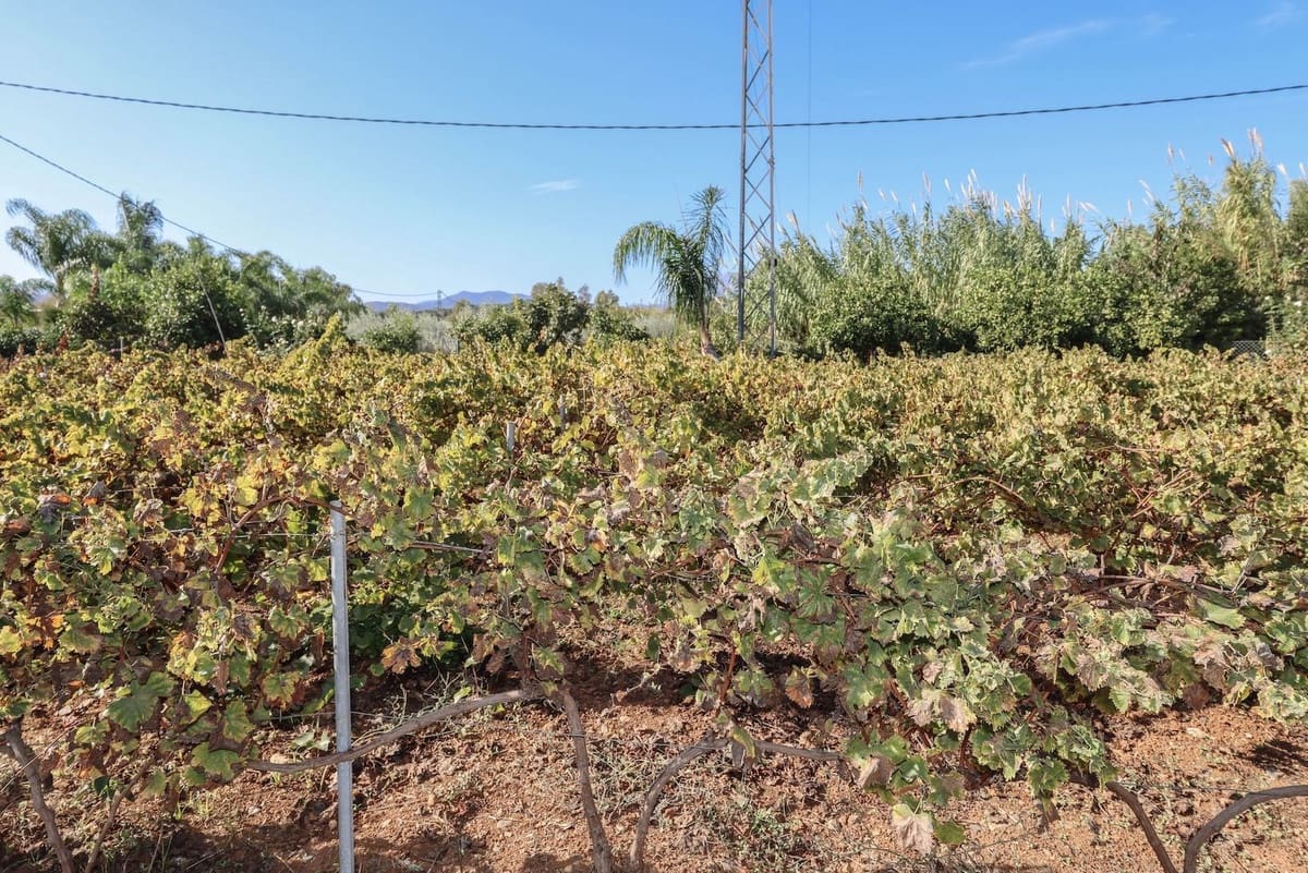 5 bedroom Villa for sale in Coin with pool garage - € 678,000 (Ref: 9587988)