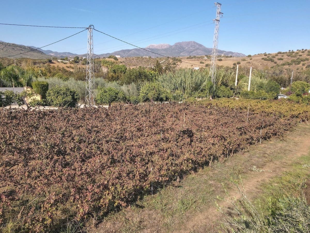 5 bedroom Villa for sale in Coin with pool garage - € 678,000 (Ref: 9587988)