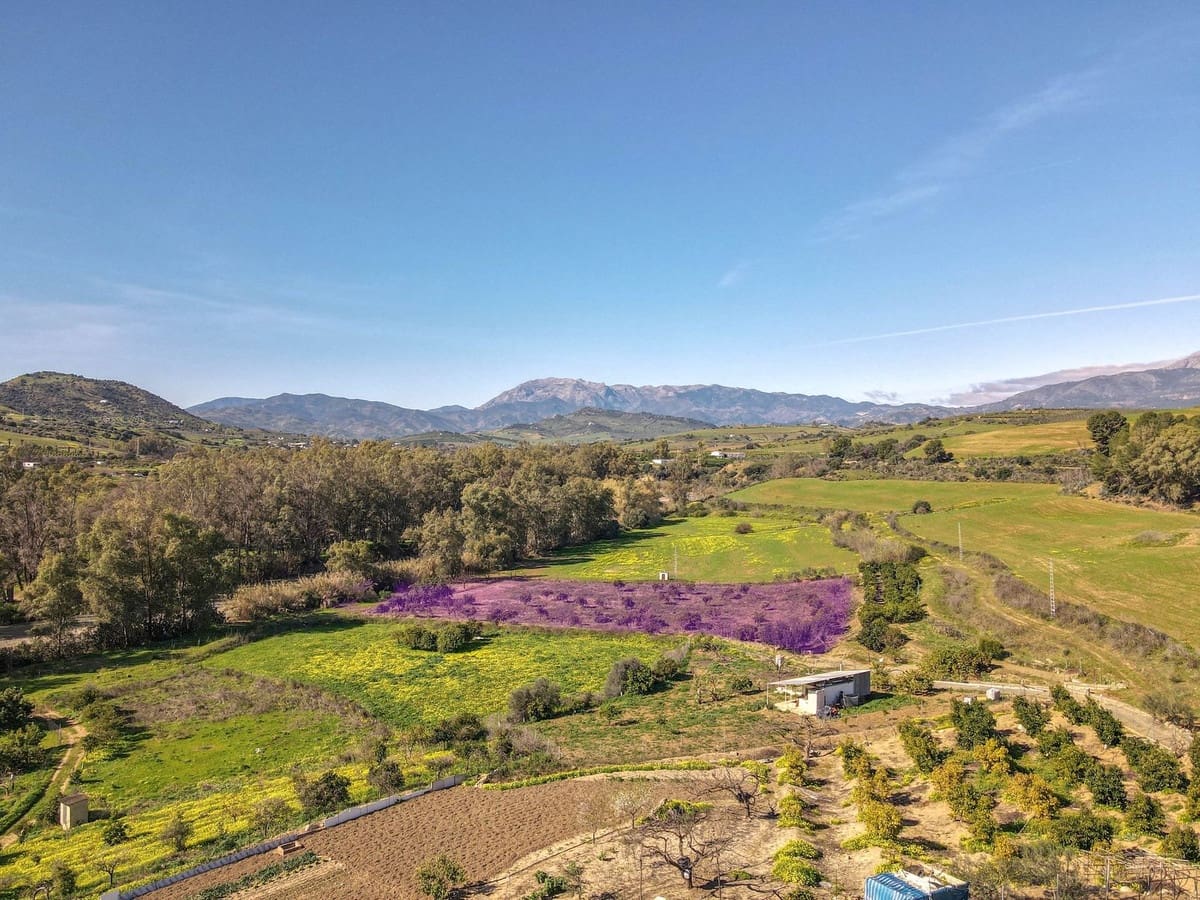 3 makuuhuone Paritalo myytävänä paikassa Coin mukana uima-altaan 
autotalli - 345 000 € (Ref: 9626118)