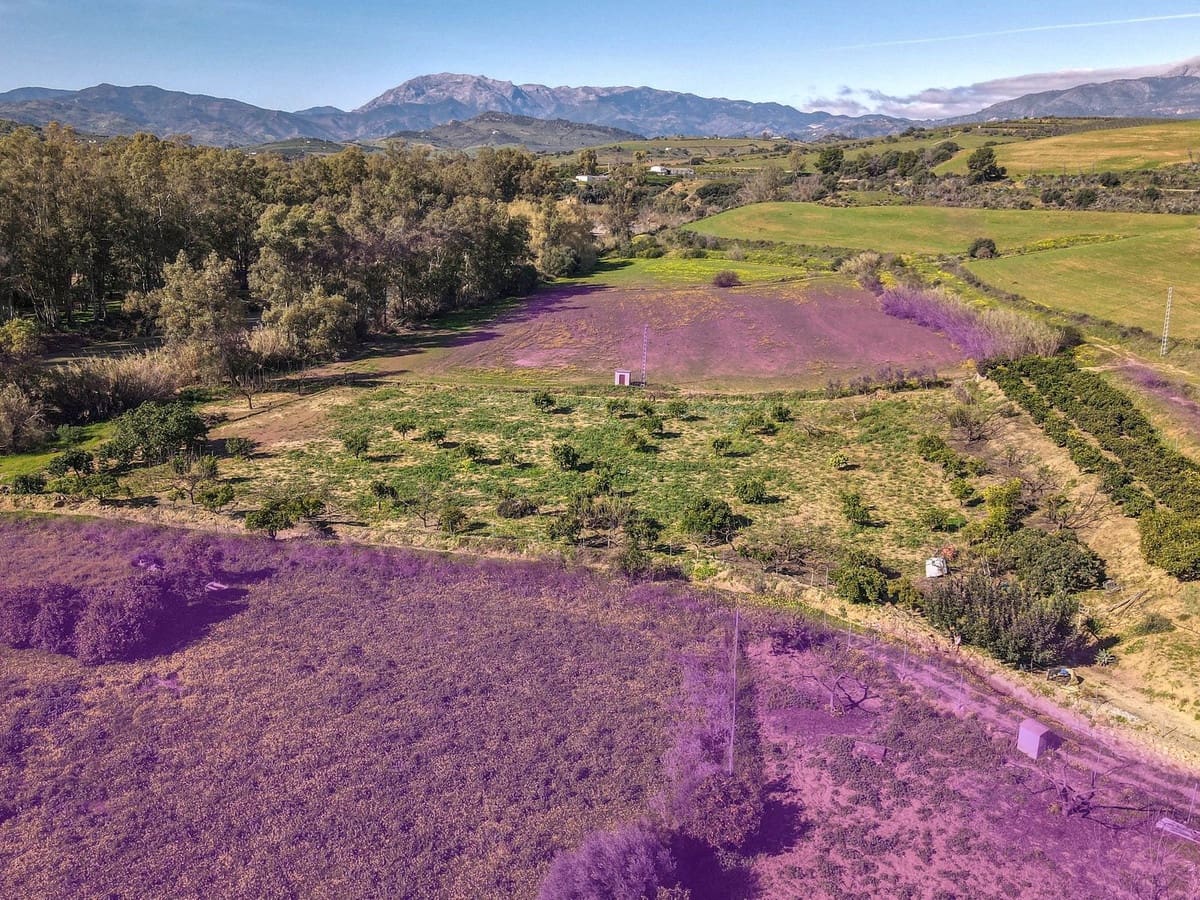 3 sypialnia Dom blizniak na sprzedaż w Coin z basenem garażem - 345 000 € (Ref: 9626118)