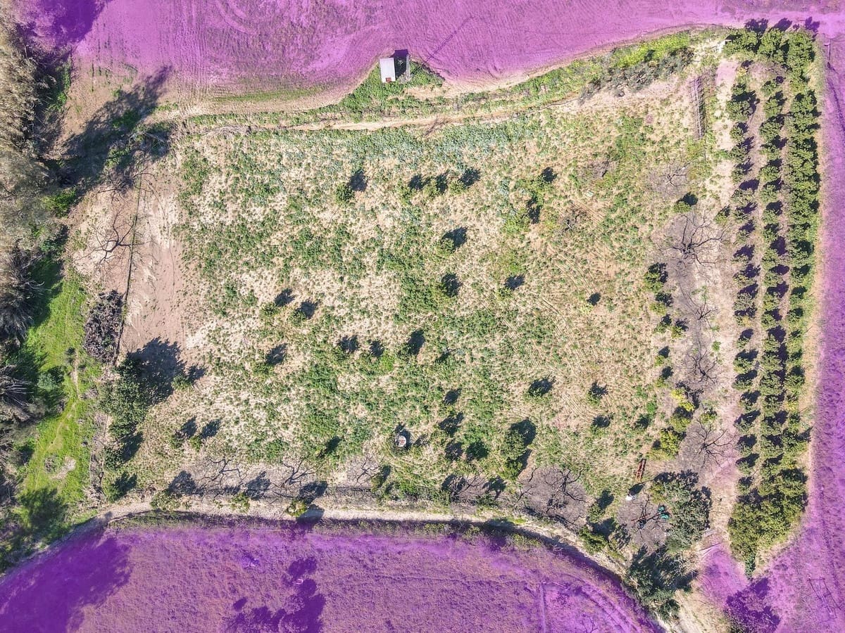 3 sypialnia Dom blizniak na sprzedaż w Coin z basenem garażem - 345 000 € (Ref: 9626118)