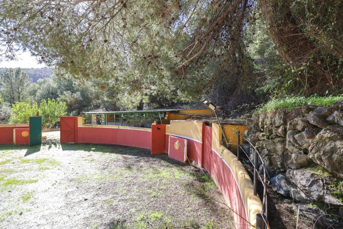 2 camera da letto Villa in vendita in Monda con garage - 500.000 € (Rif: 9656500)